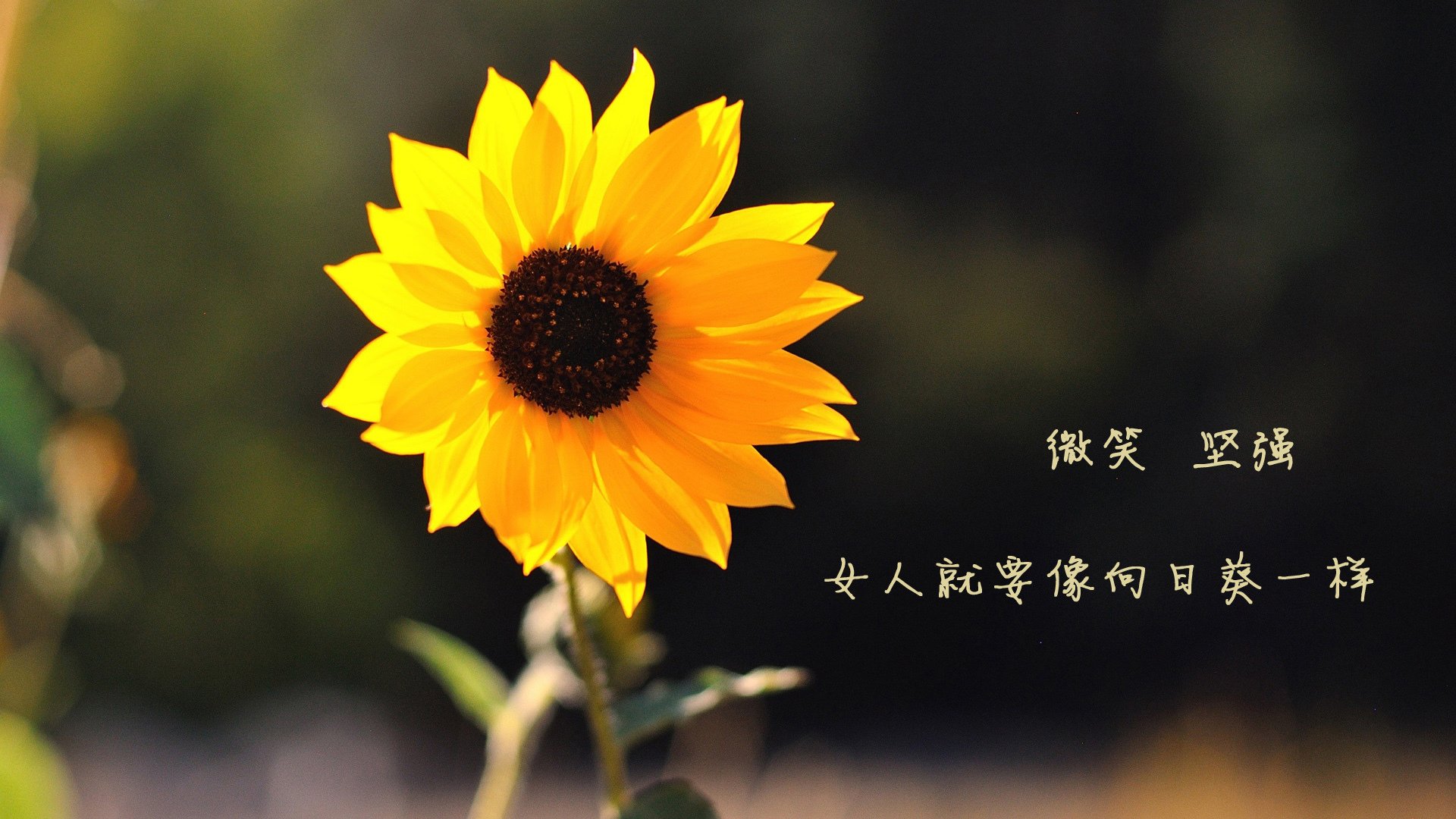 开云体育官方网入口-克罗地亚闷平俄罗斯,暂时领先积分榜,克罗地亚2020-2021积分榜500