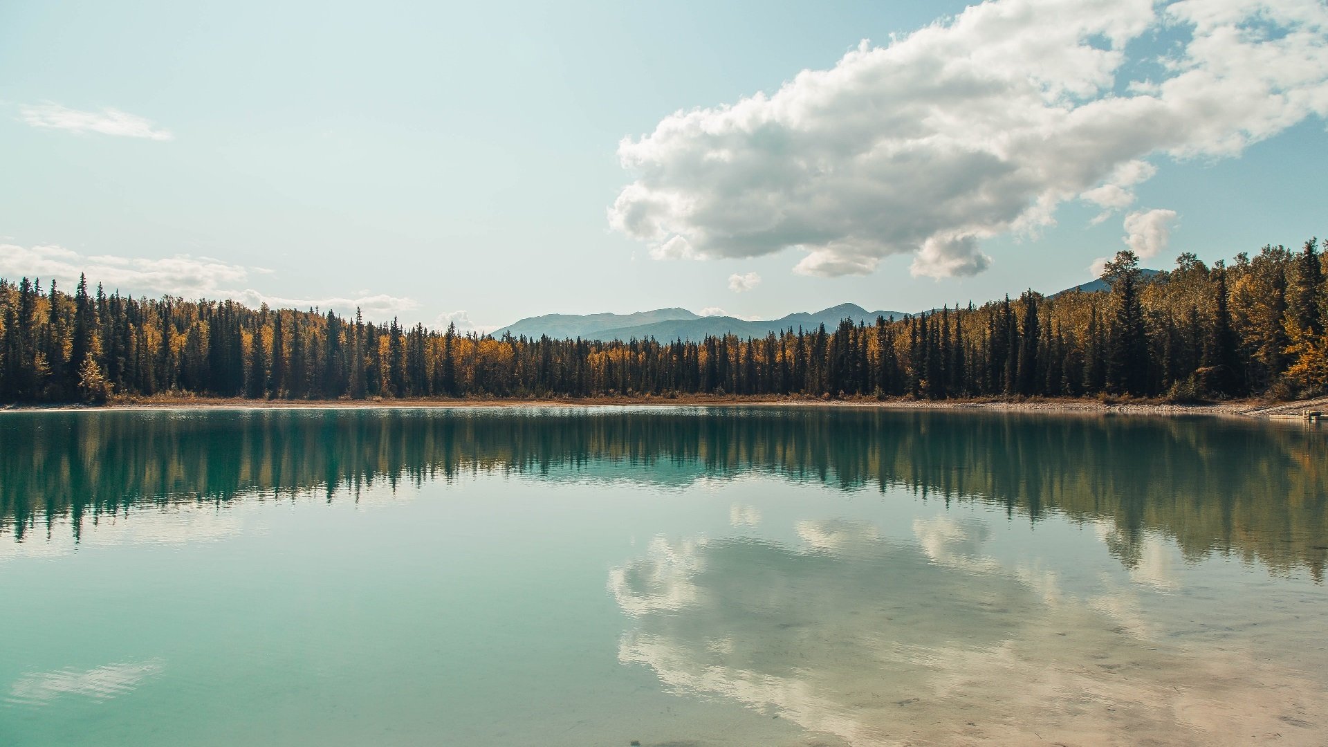 开云中国-瑞典队闯过挑战，晋级欧国联半决赛，瑞典队欧预赛名单