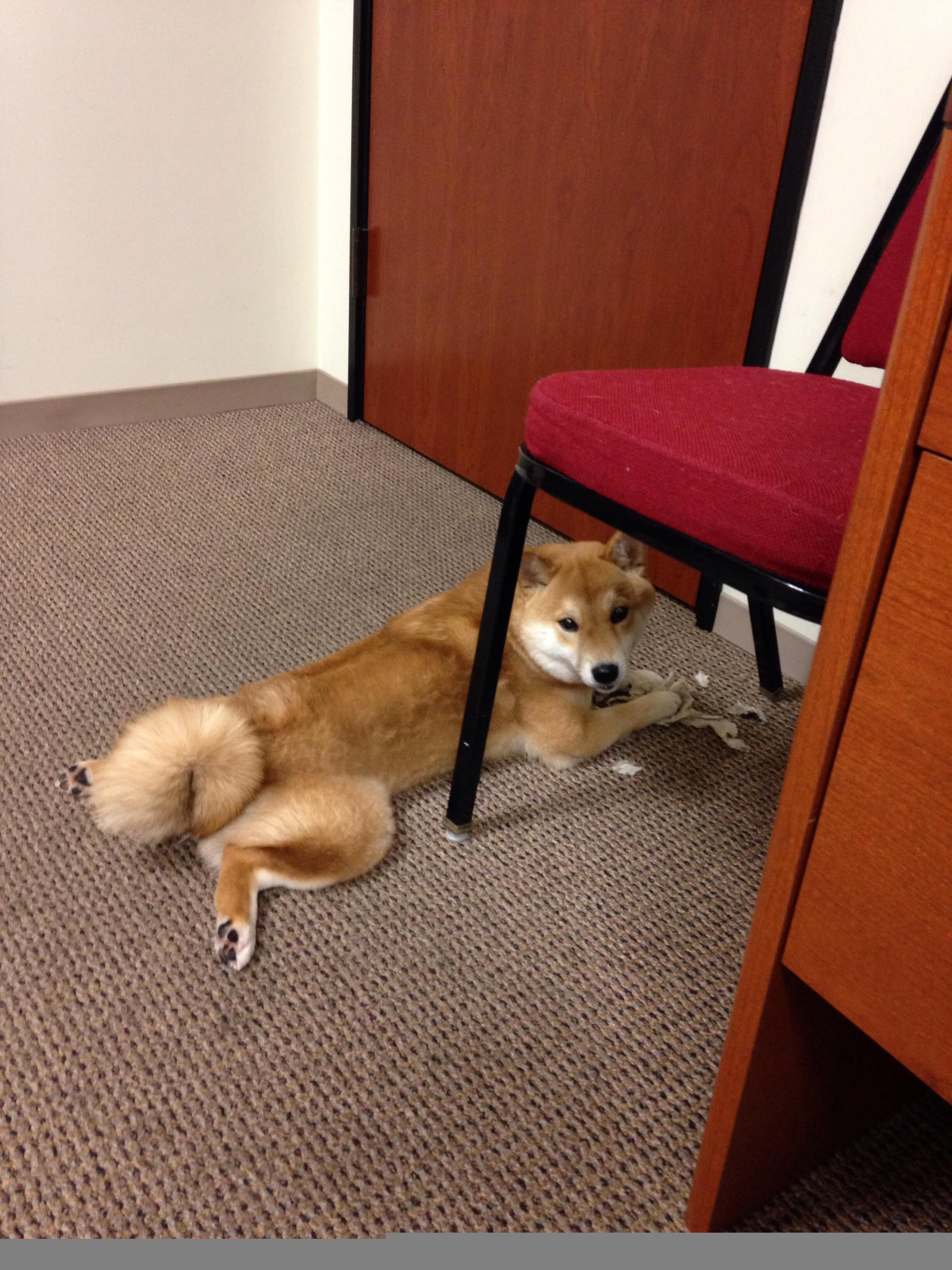 KAIYUN 中国大陆-瑞典马德里战记 测试球队实力前景 欧预赛在即,德国瑞典比赛