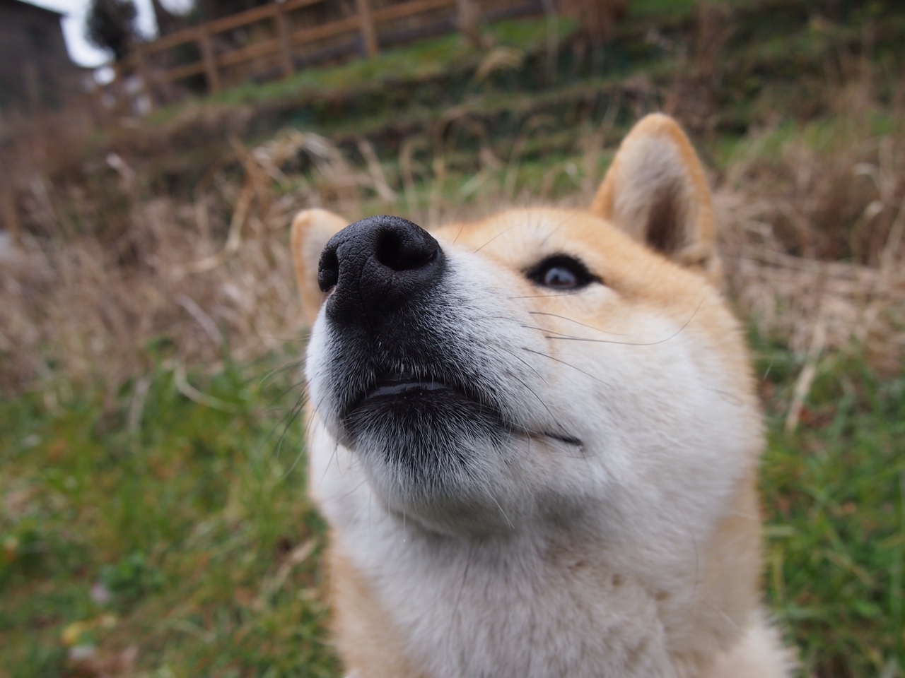 开云官网首页-社交平台是否助长球员情绪波动，球员社交软件是什么