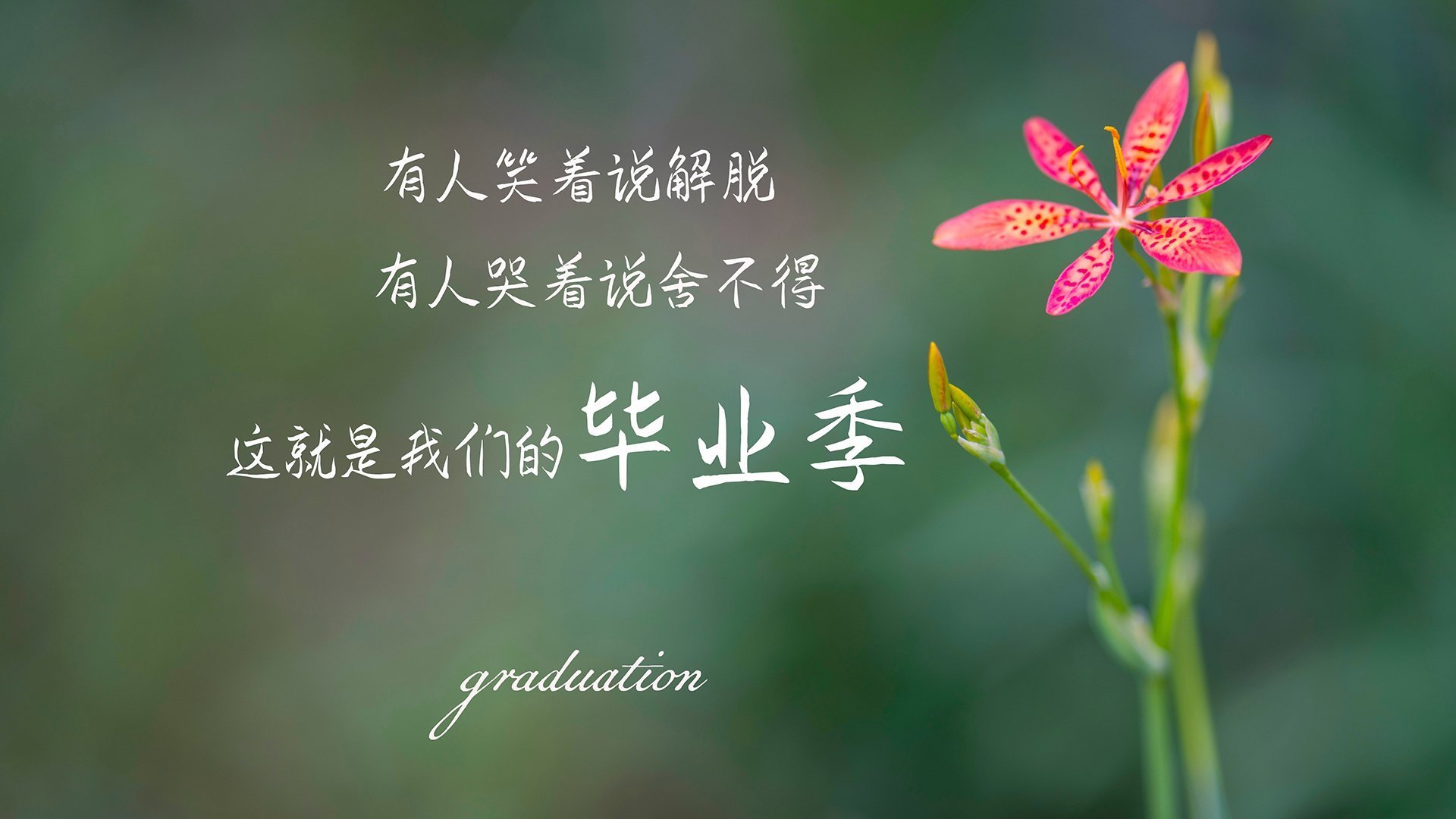 kaiyun 开云体育-那些年我们追过的经典比赛，那些年我们追过的经典比赛是什么