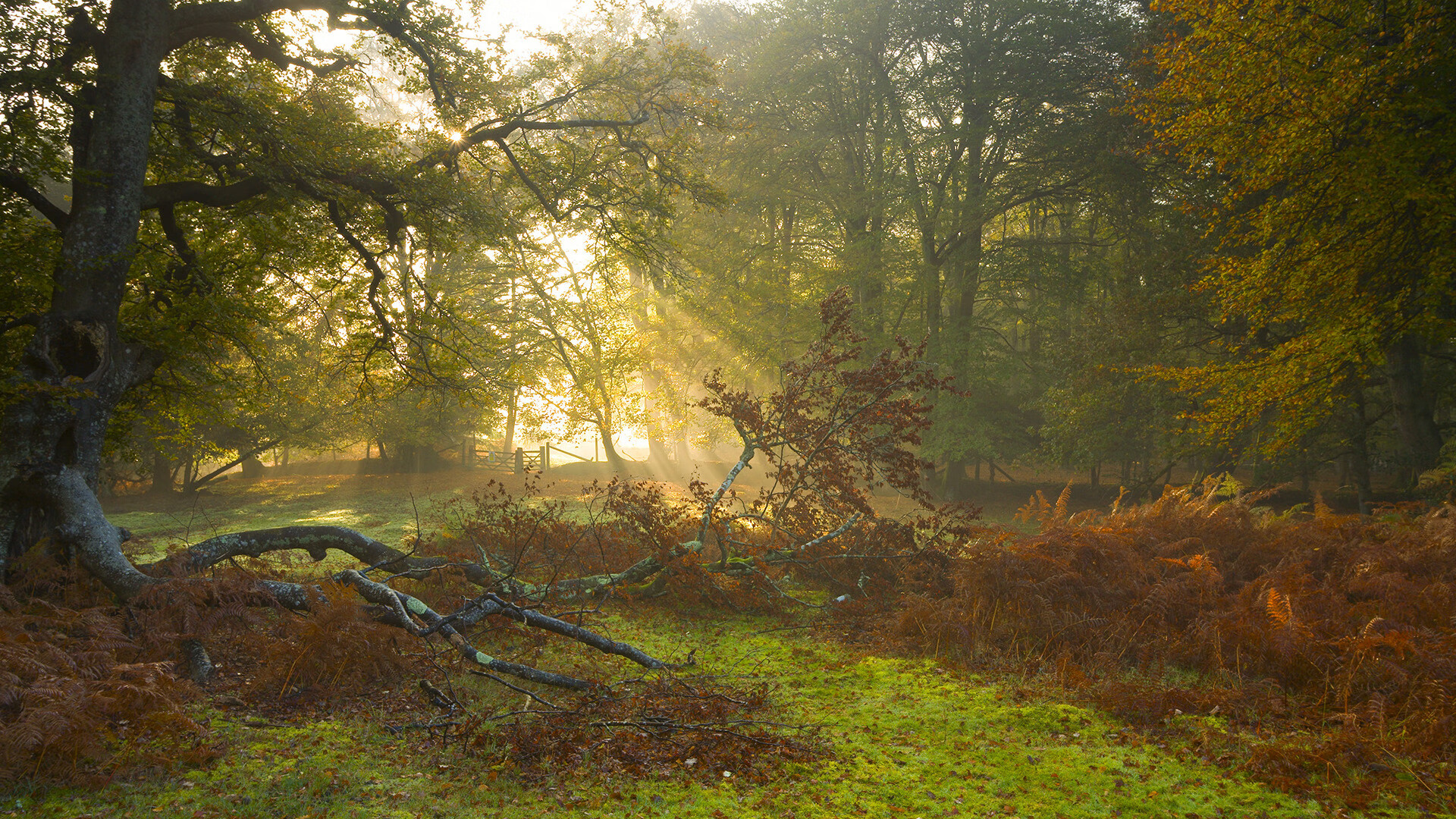 开云官方网页登录-国足长传与短传比赛控制能力对比，足球长传球视频