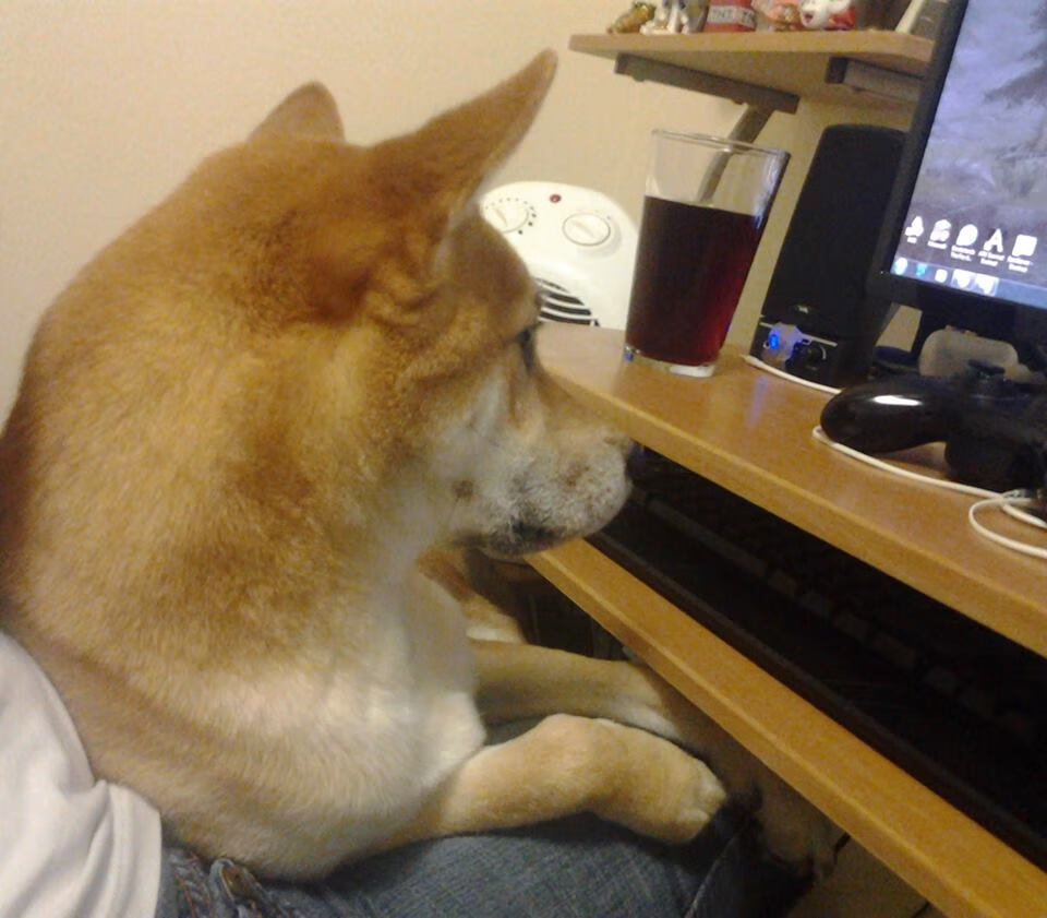 kaiyun体育app-篮球运动员技能动作规范化训练与评估方法,篮球动作技能理论知识