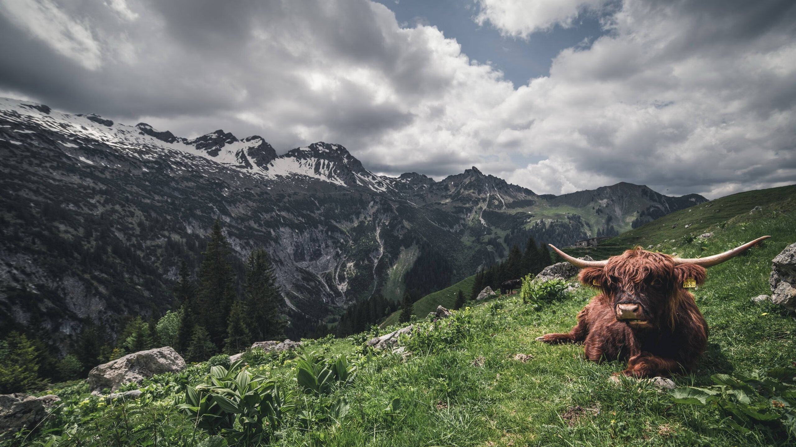 开云在线直播-青少年体育运动参与对社会适应性的影响,青少年参加体育运动有哪些作用
