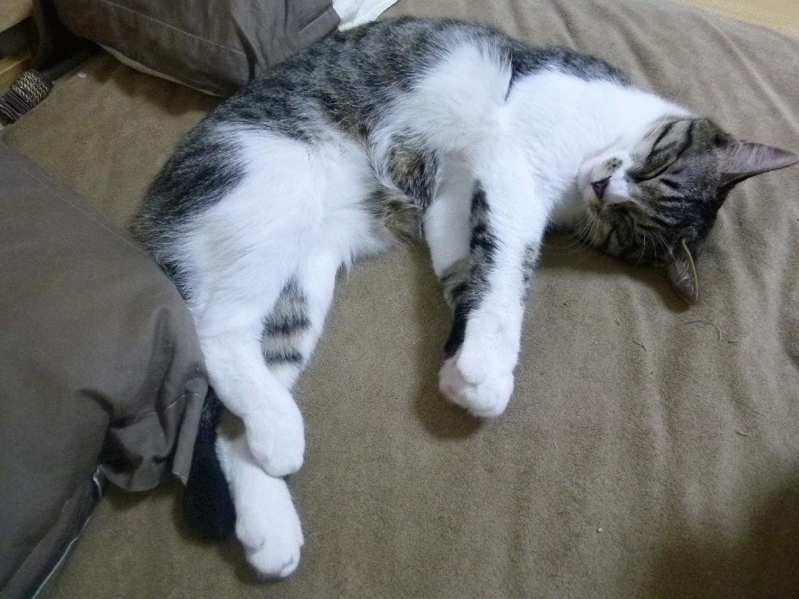 开云kaiyun-兴隆湖水上盛事，马拉松再添新章，兴隆湖2021