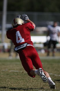 开云下载-外援适应球队节奏成为成败关键融合度需加强,外援球队球员