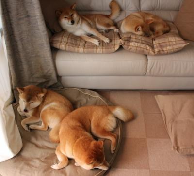 详细阅读:开云入口-波兰队赛制解读:如何在团体赛制中保持比赛节奏,波兰队的比赛 开云入口-波兰队赛制解读:如何在团体赛制中保持比赛节奏,波兰队的比赛